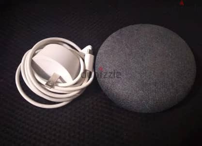 Google home mini