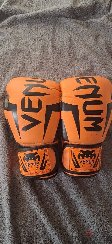 Venum Boxing Gloves