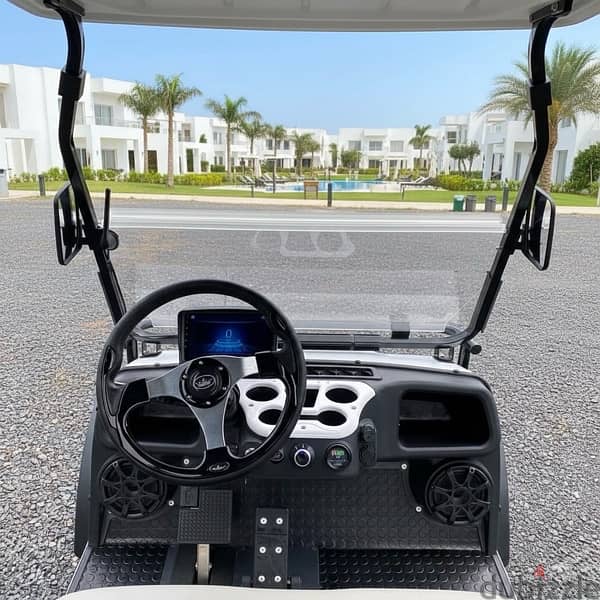 golf cart for rent 3