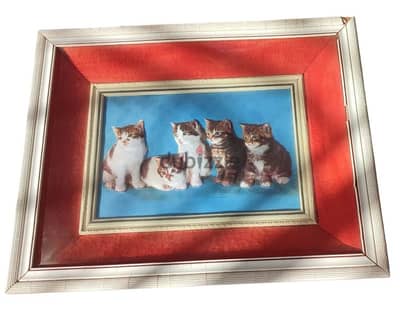 The "Five Cats" 3D Frame