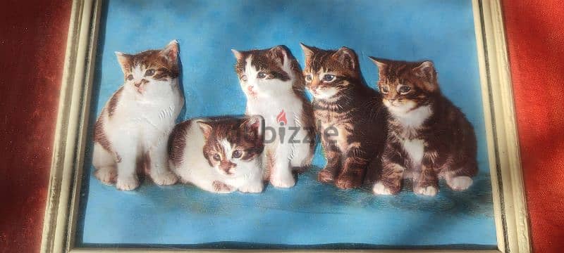 The "Five Cats" 3D Frame 3