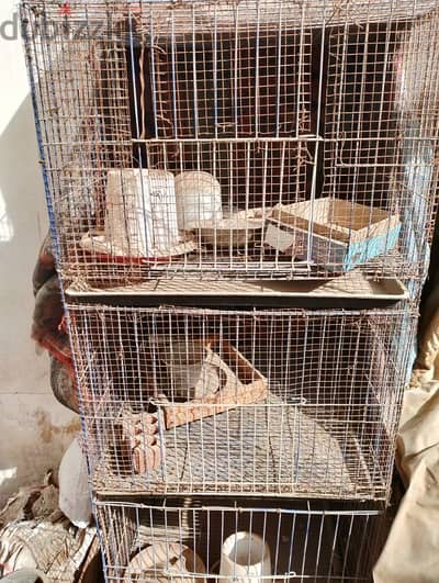 مدينة ستة اكتوبر جنوب الاحياء