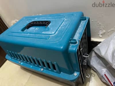 مستلزمات تربية قطط