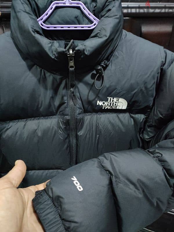 original the north face 2