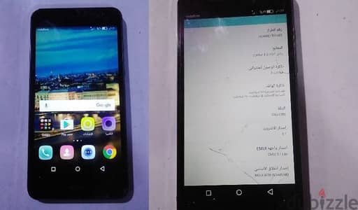 عين شمس
