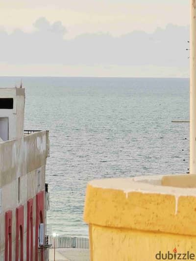 شقه فى اسكندرية شاطئ النخيل بجوار البحر وحمام سباحة دانا بلازا موقع سكنى ومصيفى