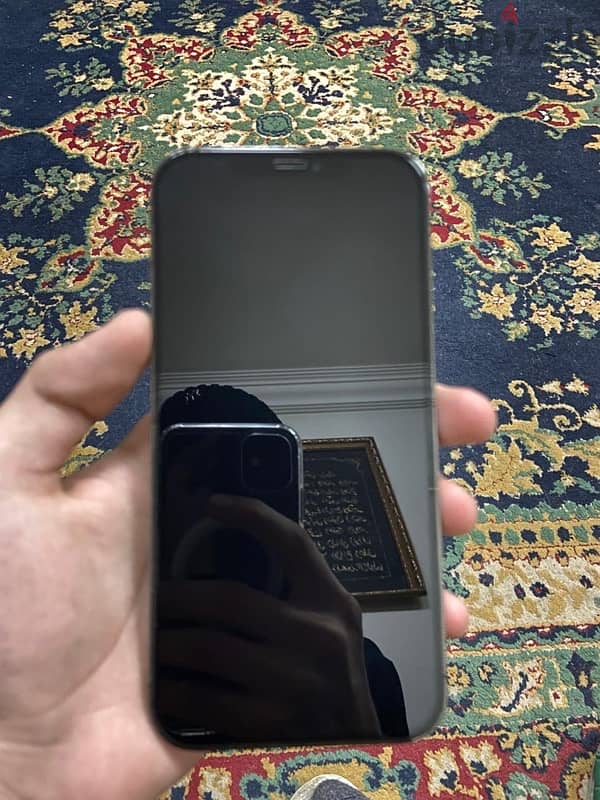 iphone 12 pro max 4
