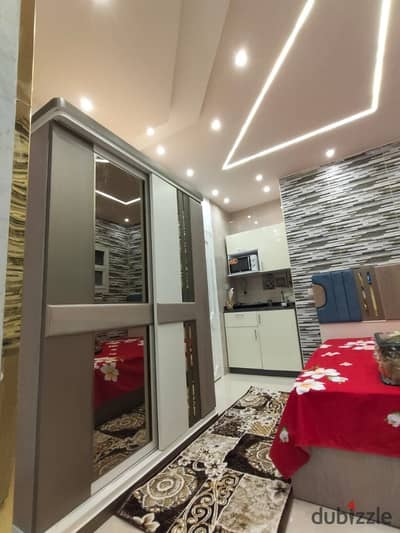 Fully furnished, air-conditioned hotel-style studio with all modern ...