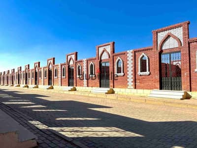 مدفن للبيع مساحه 20 متر في مدينه العاشر من رمضان  مدفن للبيع مساحه 20 متر في مدينه العاشر من رمضان