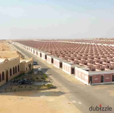 مدفن للبيع في مقابر طريق الفيوم الصحراوي نقل ملكيه في إدارة الجبانات