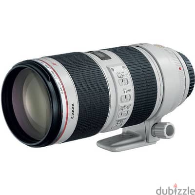 مطلوب للشراء عدسة كانون 70-200 فيرشن ٢