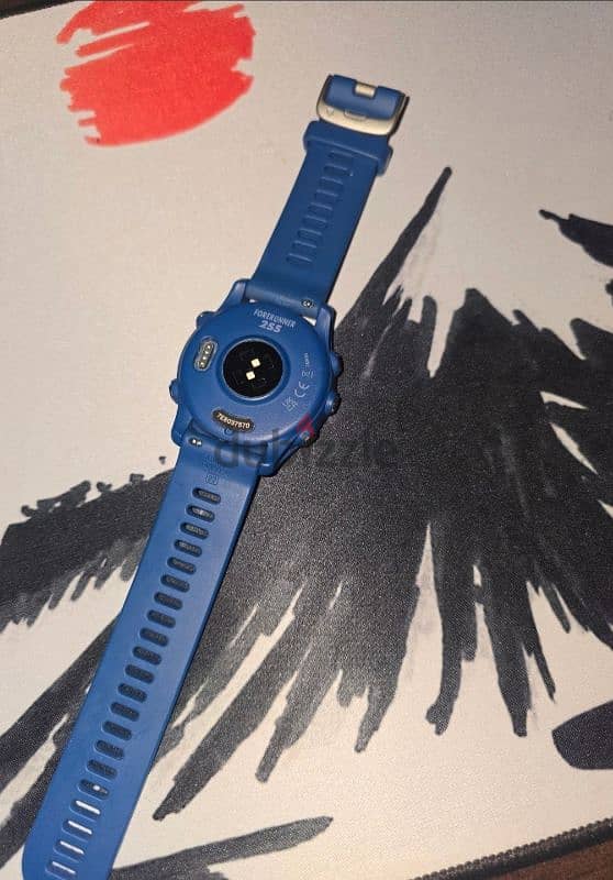 Garmin Forerunner 255 1