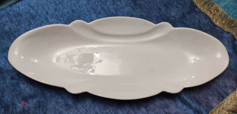 Large food plate 1