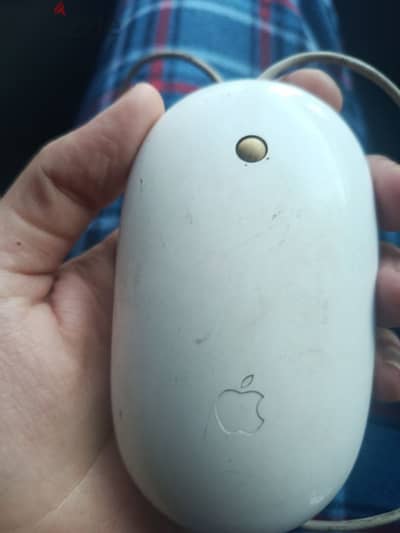 Apple mouse