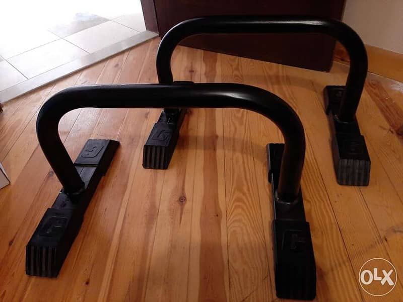 Ground Parallettes Dip Stands 1