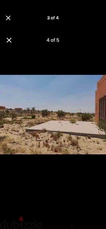 فدان زراعي للبيع عليه استراحه ١٢٠ م في الصحراوي