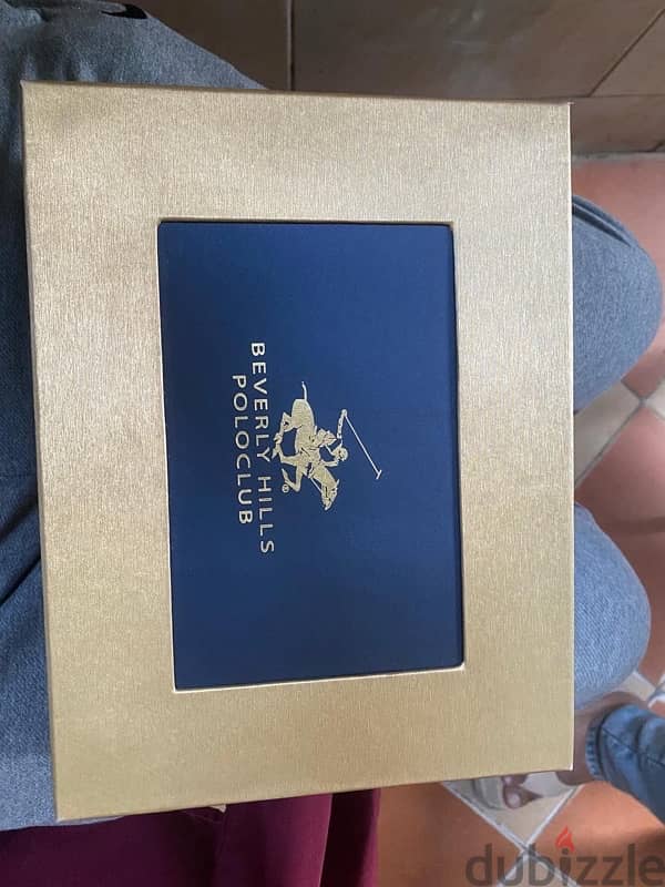 watch Polo 7