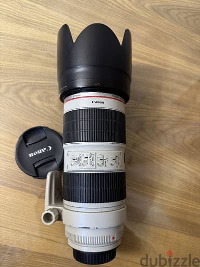 canon 70_200 f2.8 ii
