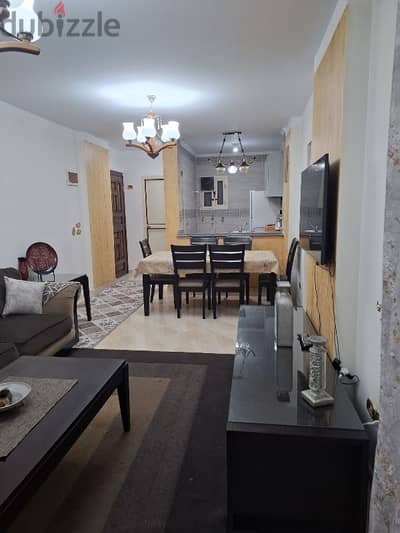 by the owner Furnished Apt for rent near green plaza