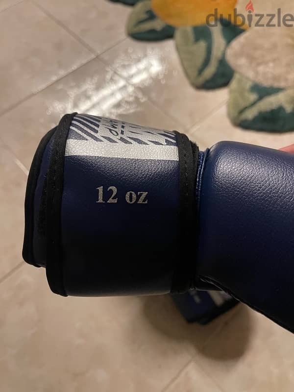 BOXING GLOVES VENUM ORIGINAL 1