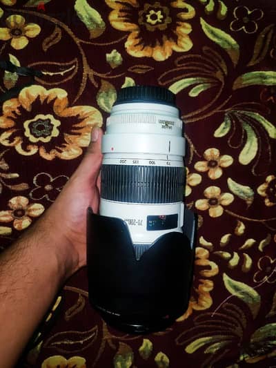 canon 70-200 Version 2