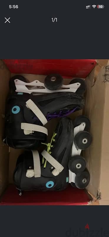 cougar 307 كوجر