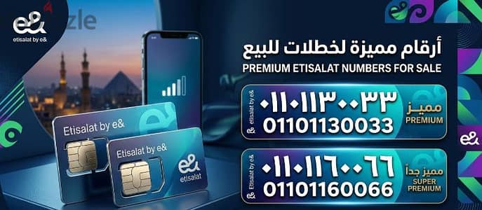 رقمين مميزين جدا 01101130033-01101160066
