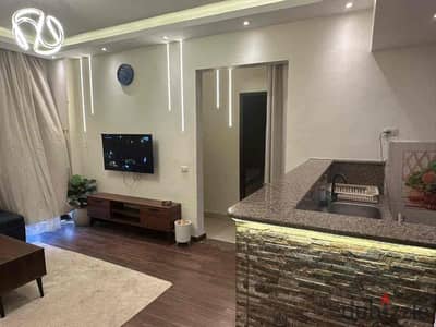 Furnished Apartment for Daily Rent – Sheikh Zayed