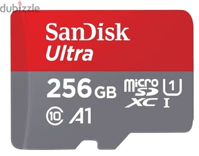 SanDisk Memory 265