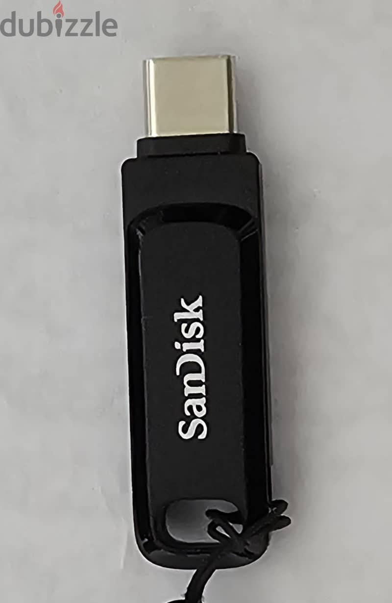 SanDisk 1TB 1