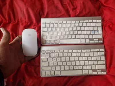 Apple magic keyboard 1st gen arabic & english