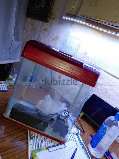 حوض سمك