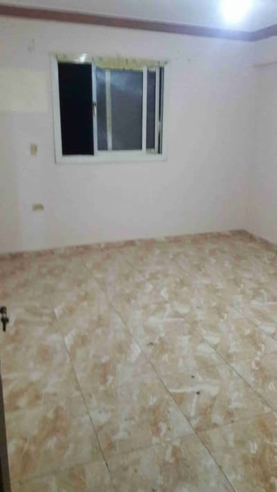 شقه للايجار الجديد