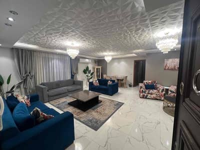 Furnished apartment in Dokki.     . .