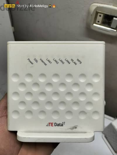 رواتر TE Data