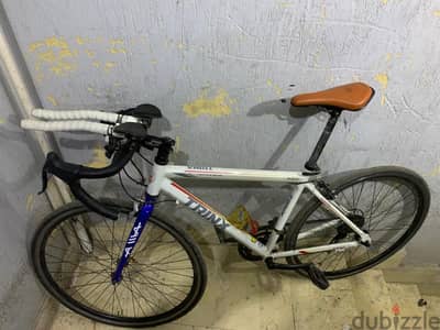 trinx r300