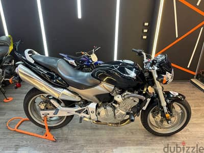 hornet 600