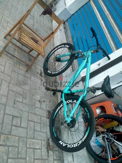 الاسكندريه باكوس
