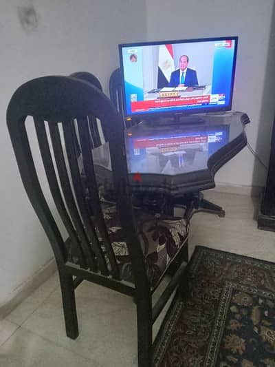 حدائق الزيتون