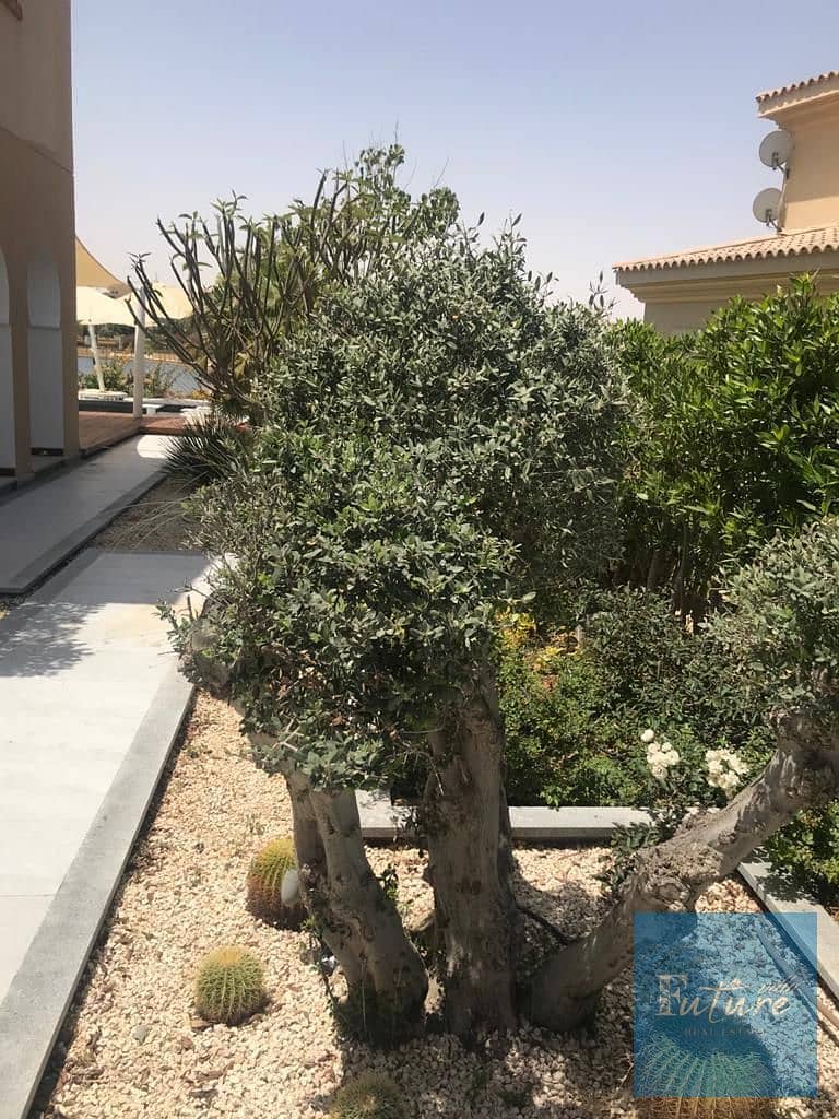 6 BR Stand Alone Villa in Marassi, photo 6 of 9