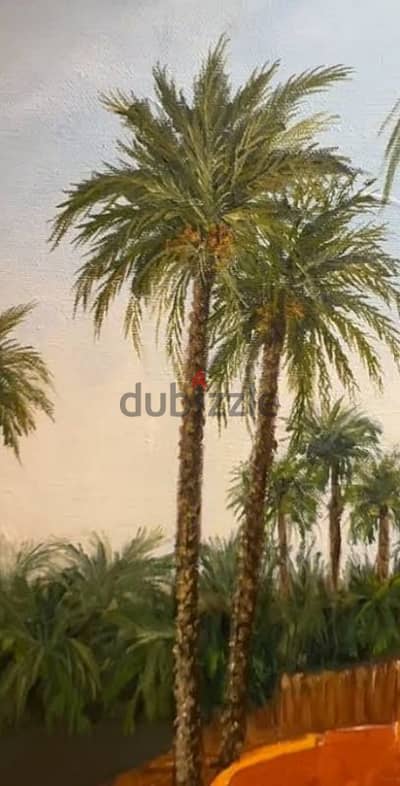 ٢  نخل مثمر  للبيع يصلح للزراعة و مجال تصنيع  بواسطة النخل