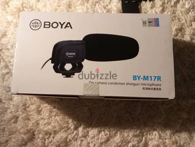 on-camera microphone