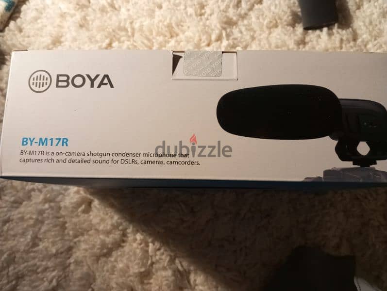 on-camera microphone 1