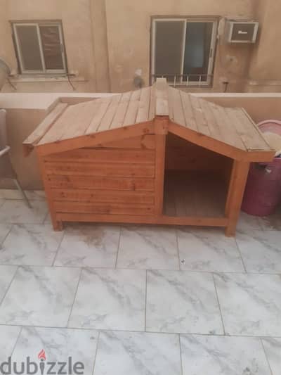 بيت كلب استعمال شهر واحد