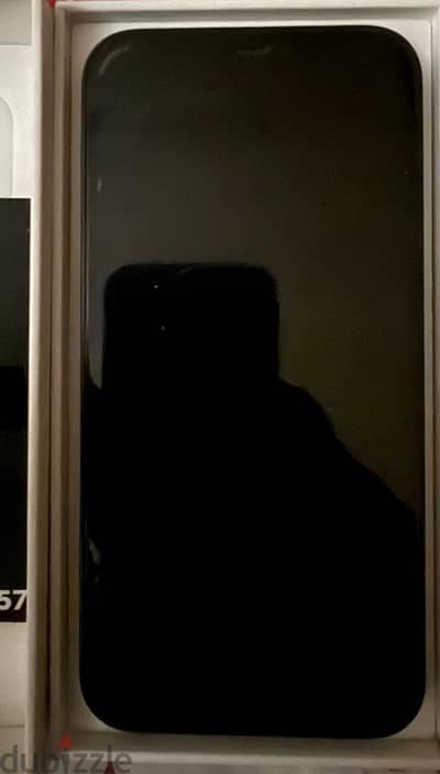 iPhone 13 Pro 256