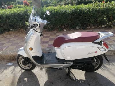 fiddle3 2021 for sale
