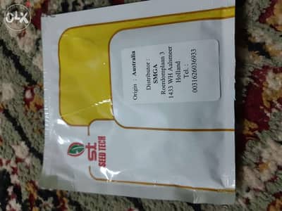بذور هجين خيار