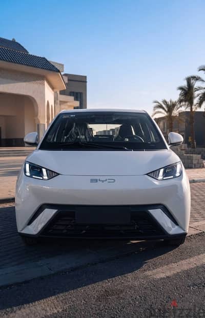 بى واى دى سيجال 2025 FLAGSHIP