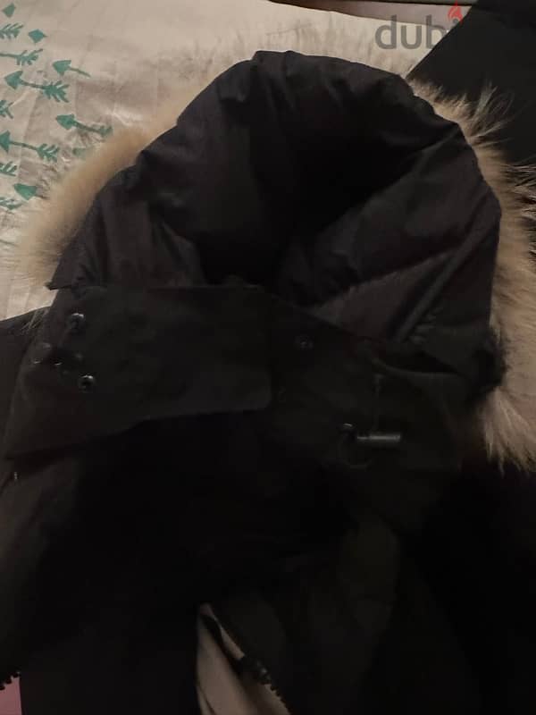 canada goose 2