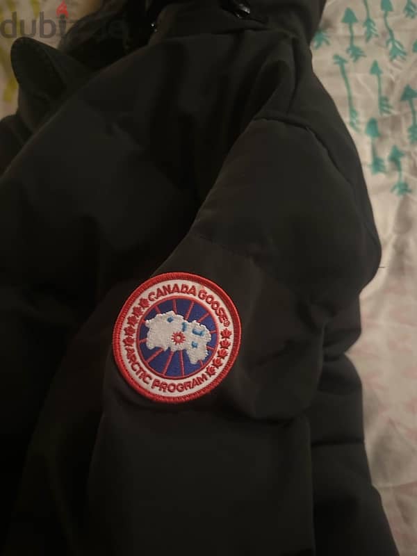 canada goose 4